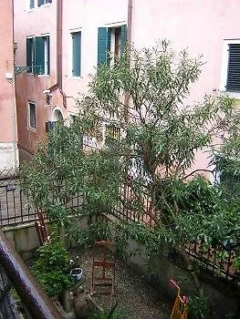 Fenice Daire